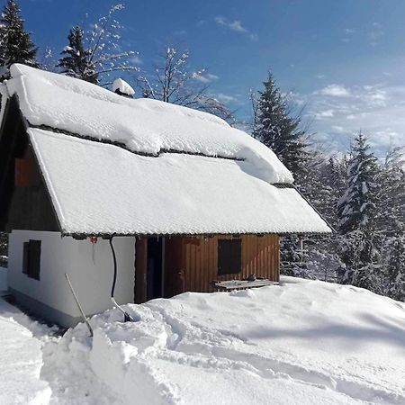 Pocitniska Hisa Jeklar Villa Bohinj Eksteriør bilde