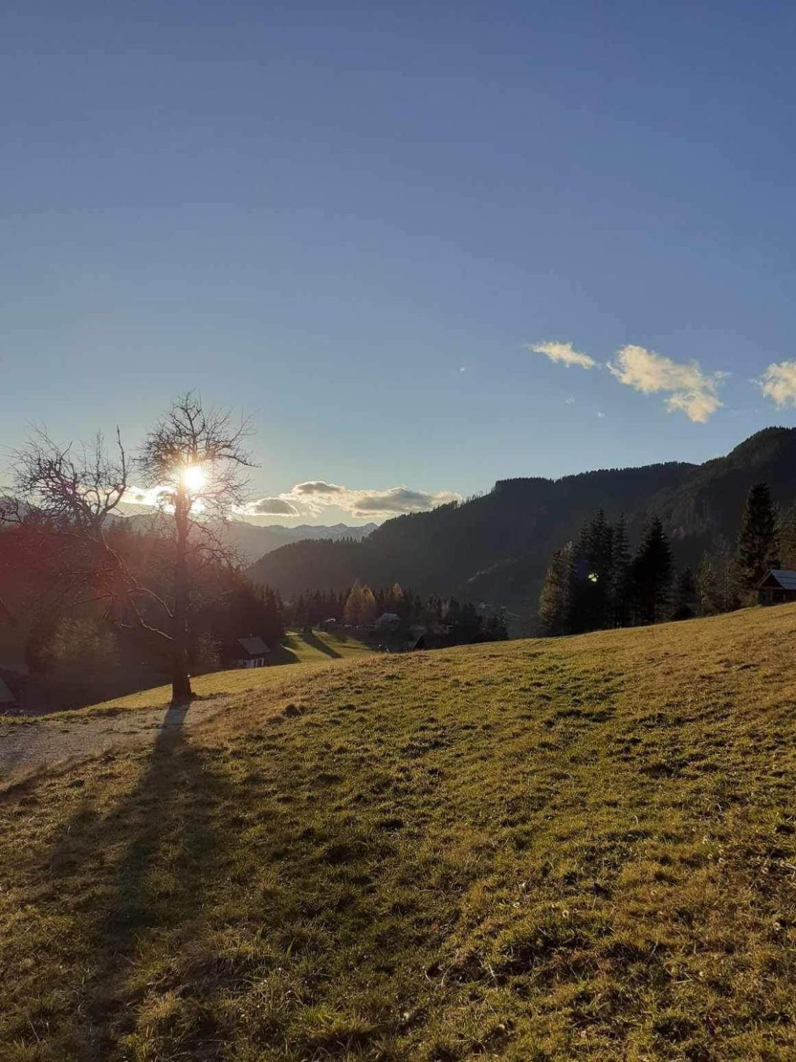 Pocitniska Hisa Jeklar Villa Bohinj Eksteriør bilde